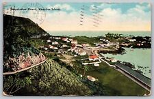 Laupahoehoe Territory of Hawaii T.H. The Island Curio Company Old Postcard E26 picture
