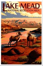 Lake Mead National Recreational Area Bighorn Sheep Lantern Press postcard picture