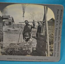 Stereoview Photo Weighing Reeds Cut For Fuel Chinkiang Zhenjiang China c1900 picture