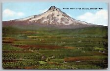 Oregon Mount Hood River Valley Scenic Mountain Landscape DB UNP Postcard picture