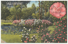 1930s 40s Cypress Gardens Camellia Flower Pond Lakeland Florida Linen Postcard picture