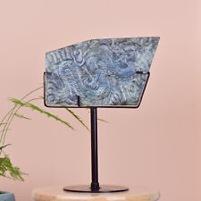 6.44LB  Natural beautiful labradorite crystal hand- carved dragon healing picture