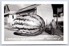 Southern Illinois~Coot w/Thick Glasses Barely Sees Exaggerated Watermelon RPPC picture