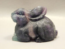 Rabbit Figurine Gemstone Animal Carving Purple Fluorite #O430 picture