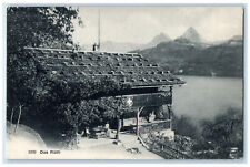 c1910 View of Das Rutli Seelisberg Switzerland Posted Antique Postcard picture