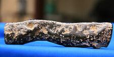 Sensational Petrified Wood Limb Cast, Chocolate and Tan, Large 280 gram Specimen picture