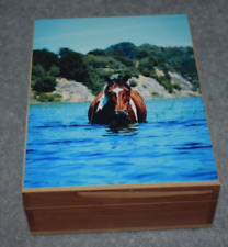 #5107 WATER HORSE KEEPSAKE JEWELRY HOME DECOR WOOD CEDAR BOX 6