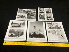 (5) Alaska Related 8x10 Press Photo's-Denali National Park & More picture