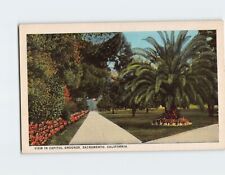Postcard View In Capitol Grounds Sacramento California USA picture