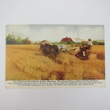 Postcard Gallatin Valley Montana Award Winning Oats Farming Farmer Antique 1915 picture