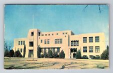 Carlsbad NM-New Mexico, Eddie County Courthouse, Antique, Vintage Postcard picture
