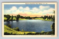 Malone NY-New York, Memorial Recreation Park, Antique, Vintage Postcard picture