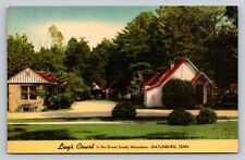 Lays Court Great Smoky Mountains Gatlinburg Tennessee P709 picture