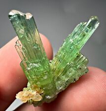 25 CT Full Terminated V-Shape Gemmy Tourmaline Crystals Specimen @ Afghanistan picture