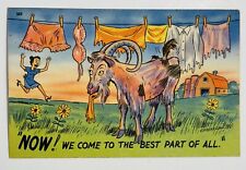 Vintage Postcard Comical Goat Eating Laundry Farm Cartoon UnPosted picture