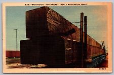 Washington Toothpicks Forest Train Railroad Railway Linen Vintage UNP Postcard picture
