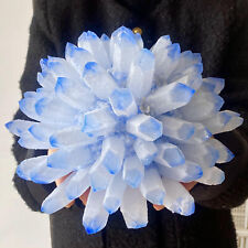 9.67LB eatiful blue Tibetan Ghost phantom Quartz Crystal Cluster Specimen picture