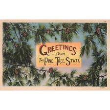 1953 Greetings from The Pine Tree State Postcard 2R4-83 picture