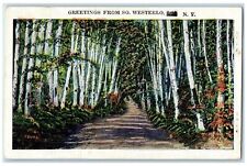1938 Greetings From South Westerlo Lined Trees Dirt Road New York NY Postcard picture