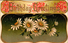 Birthday Greetings Daisy Flowers Postcard 1908 picture