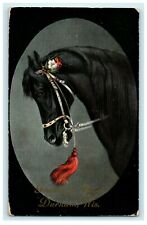 1908 Black Horse with Bit, Greetings from Durham Wisconsin WI Postcard picture