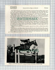 Magnus von Buchwaldt Horse Japsis Germany  - 1956 2-Part Cutting / Print picture