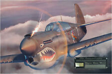 Old Exterminator - Canvas Art with P-40E Warhawk Relic - 18