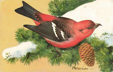 Postcard White Winged Crossbill picture