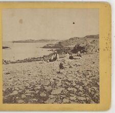 Nantasket Beach Looking East MA Williams Stereoview c1870 picture