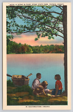 MISPRINT Recreation Fairy Stone State Park Stuart VA c1930 Postcard Philpott Dam picture