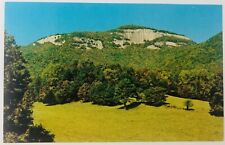 Vintage Table Rock State Park South Carolina SC Table Rock Mountain Postcard picture