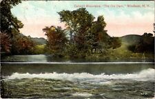 Windham, NY The Old Dam Catskills Mountains Antique 1915 Postcard z5 picture