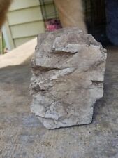 Ancient Native American Stone Effigy Sculpture Display Artifact picture