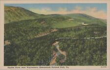 c1930s Postcard Shenandoah River National Park, Skyline Drive Virginia VA 5489.4 picture