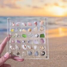 Transparent Magnetic Seashell Display Box Plastic Seashell Collection Case picture