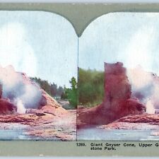 c1900s Yellowstone Park Giant Geyser Cone Upper Basin Litho Photo Stereo Card V7 picture