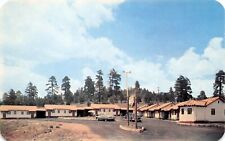 Flagstaff AZ Arizona Sky Line Motel Hwy Route 66 Grand Canyon Vtg Postcard D43 picture