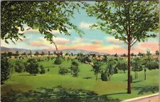 Albuquerque NM-New Mexico, Roosevelt Park, Scenic View, Vintage Postcard picture
