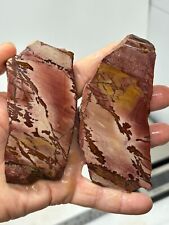 Dead Camel Dendritic Jasper slabs Cabbing Lapidary Collecting Combo Ship Avail picture