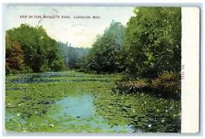 1911 View On Pere Marquette River Ludington Pond Michigan MI Posted Postcard picture
