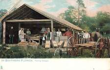 c1910 Raphael Tuck Packing Oranges Men Wagon Horse Crates Southern Florida  P470 picture