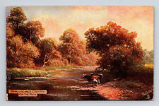 Landscape Stratford-On-Avon Shakespeare's Country Raphael Tucks Oilette Postcard picture