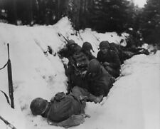 U.S. Soldiers take cover in a ditch while in Germany 8x10 Photo WWII WW2 857 picture