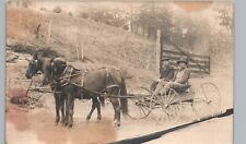 HORSE-DRAWN BUGGY c1910 spring grove mn real photo postcard rppc houston county picture