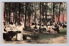 Sandusky OH-Ohio, Grove At Cedar Point, Hand-Colored, Souvenir, Vintage Postcard picture