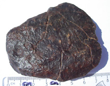 133 grams Libyan xxxx Meteorite as found individual in 1998-2001 with a COA picture