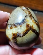 Beautiful Striped Septarian Polished Egg US SELLER 142g  picture