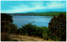 Postcard Chrome Lake From Shore Warner, NH picture