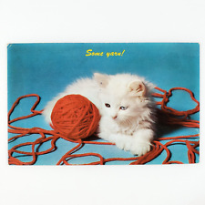 Maine Yarn Ball Kitten Postcard 1960s Kitty Cat Pet Feline Animal Portrait B2783 picture