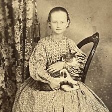 Antique CDV Photograph Adorable Little Girl Precious Tabby Cat Civil War Era picture